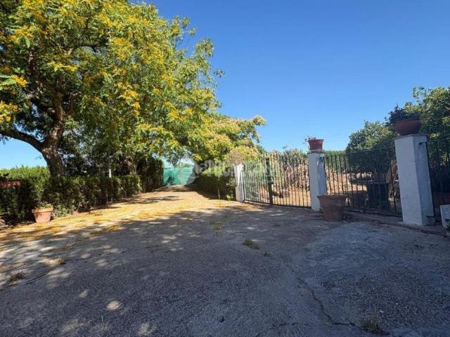Masía en venta en Rinconada La. Casa rural en venta en San josé de la rinconada. Masías Rinconada.