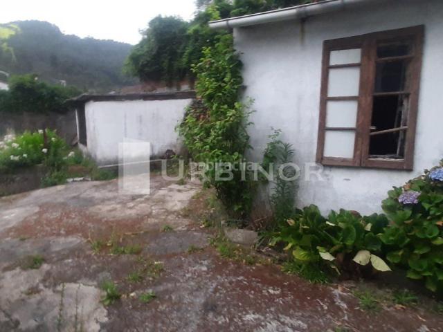 Masía en venta en Ribadavia. a 1km. del centro de RIBADAVIA, casa con finca. Masías.