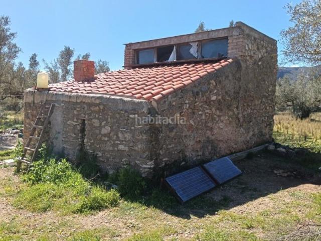 Masía en venta en Roquetes Costa Dorada. FINCA DE OLIVOS CON CASA RUSTICA DE PIEDRA. Masías.