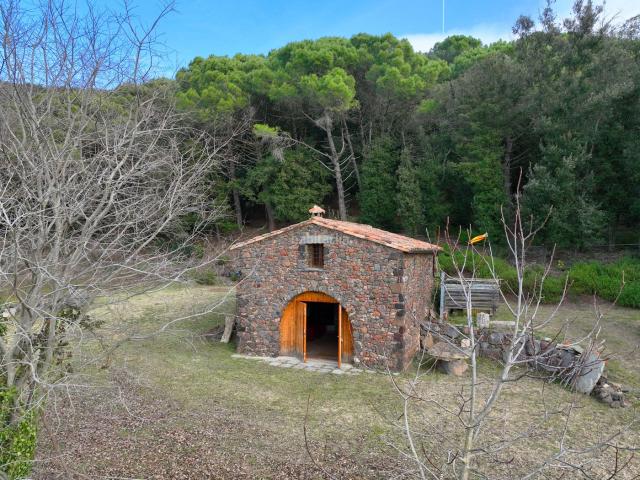 Masía en venta en Sant Martí de Llémena. Finca rústica amb cabana a Llorà Girona. Masías Sant Martí de.