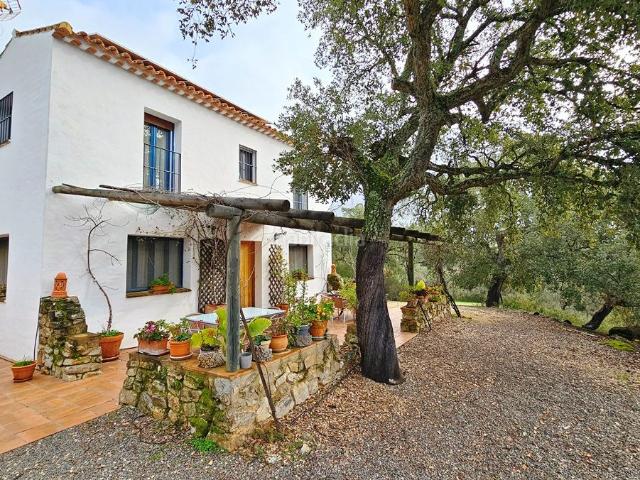 Masía en venta en Santa Ana la Real. Finca de 6 has con estupenda casa, piscina e instalaciones. Masías Santa Ana la.