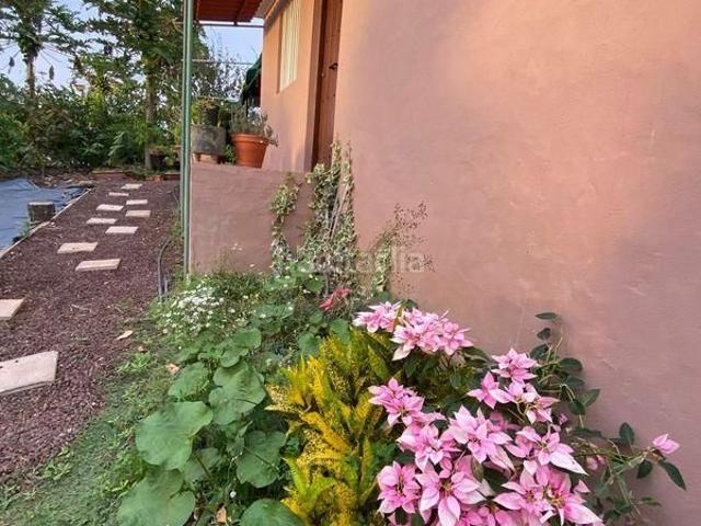 Masía en venta en Santa María de Guía de Gran Canaria. Finca rústica en Guía. Masías Santa María de Guía de Gran.