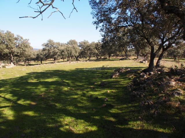 Masía en venta en Santa Olalla del Cala. Finca ecológica cerca de El Ronquillo. Masías Santa Olalla del.