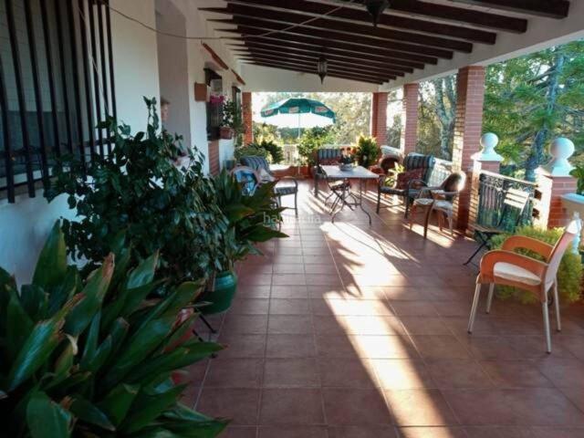Masía en venta en San Bartolomé de la Torre. Venta de parcela con casa y almacén al sitio de Aguas de Verano. Masías San Bartolomé de la.