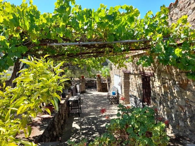 Casa en venta en San Vicente de Alcántara. ESTUPENDA FINCA EN SAN VICENTE DE ALCANTARA. Casas San Vicente de.