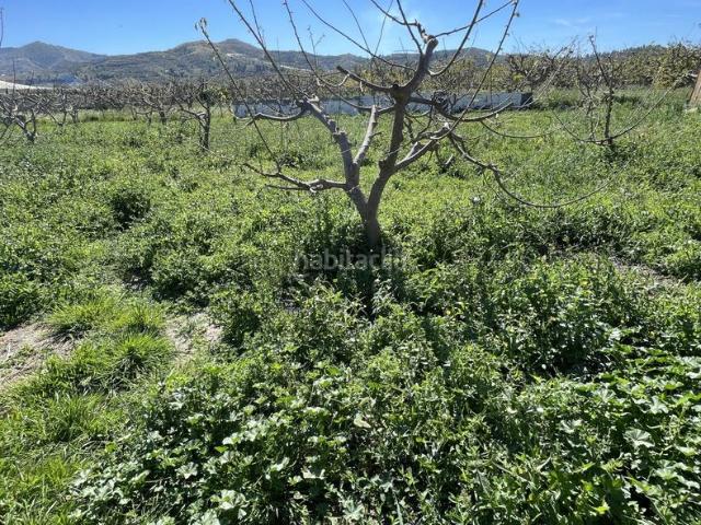 Masía en venta en Salobreña, Lobres. Encantador cortijo con piscina y finca de chirimoyos en Lobres SalobreñaMagnífica oportunidad de adquirir un acogedor cortijo en u. Masías.