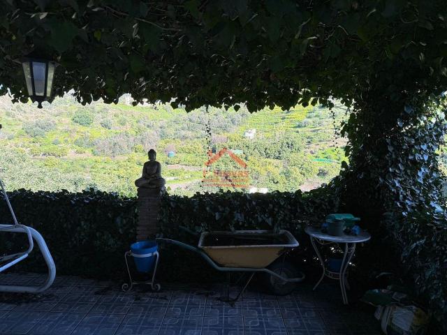 Masía en venta en Sayalonga. Casa de campo en Sayalonga. Masías.