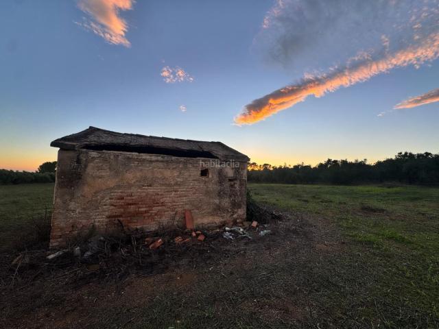 Masía en venta en Selva del Camp La. Finca rústica de 1,7 ha con 125 olivos arbequina en producción y agua de riego. Masías Selva del Camp.