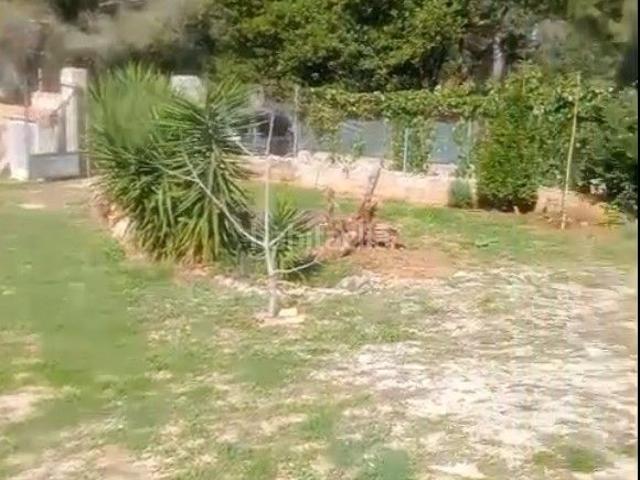 Masía en venta en Simat de la Valldigna. Casa rustica en Les foies simat de la Valldigna. Masías Simat de la.
