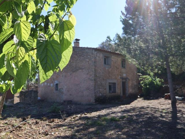 MASIA EN VILAFAMES CON TERRENO