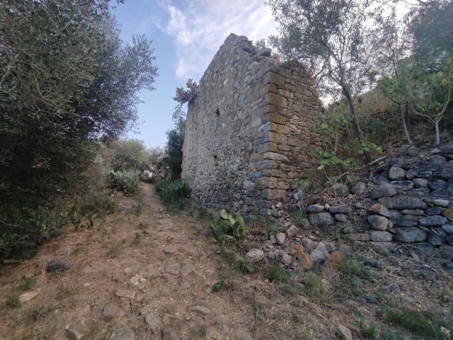 Masia en Ruinas Vilartoli