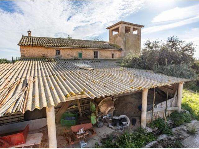 MASIA EN SON FERRIOL