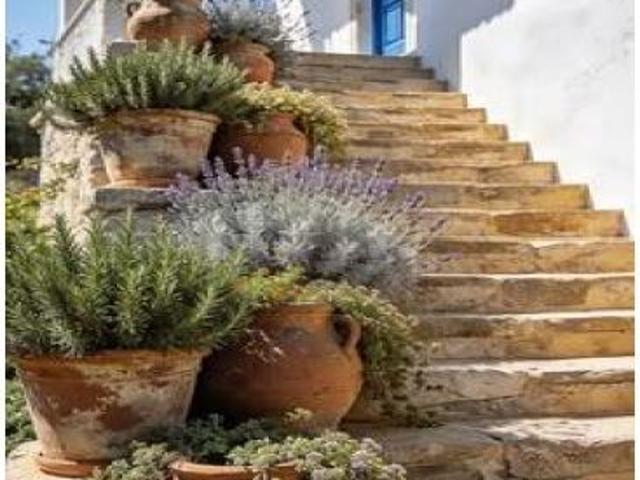 MASÍA ESPECIALIZADA EN BODAS Y EVENTOS – NEGOCIO CONSOLIDADO EN PLENO FUNCIONAMIENTO