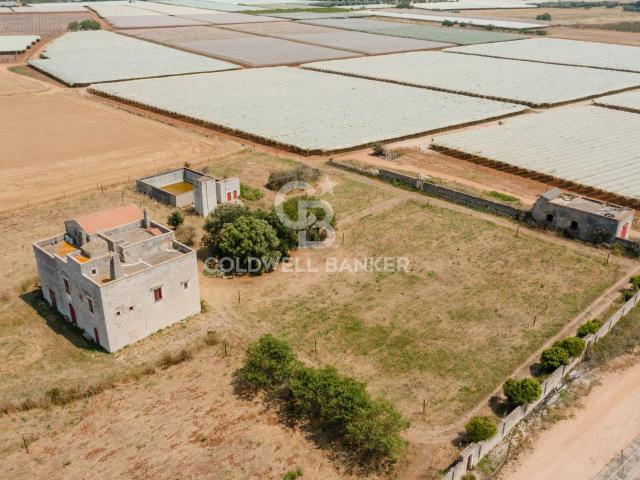 Masseria in affitto a Rutigliano