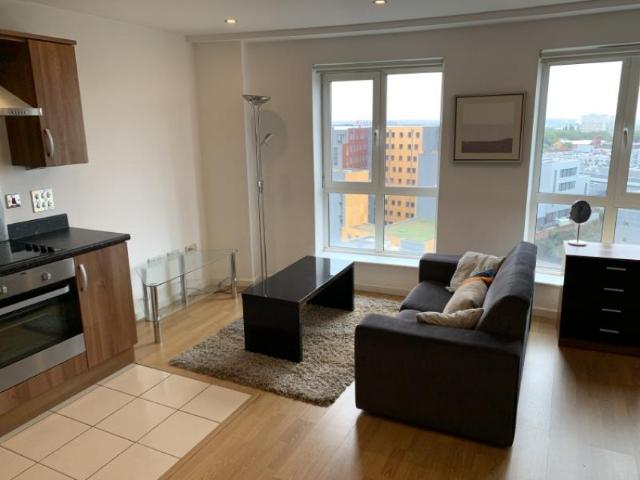 Masshouse Plaza, Birmingham B5, Apartment