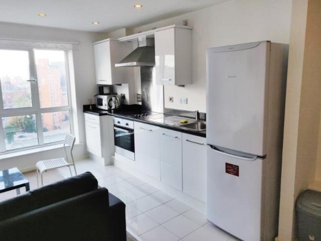 Masshouse Plaza, Birmingham B5, Apartment