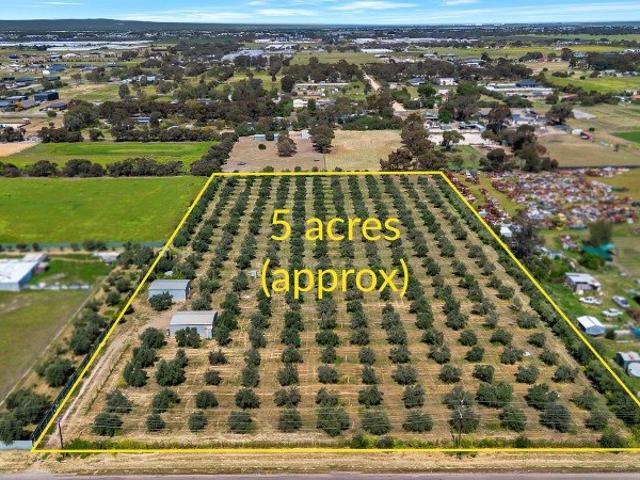 Massive Land, Endless Possibilities on McCord Road!