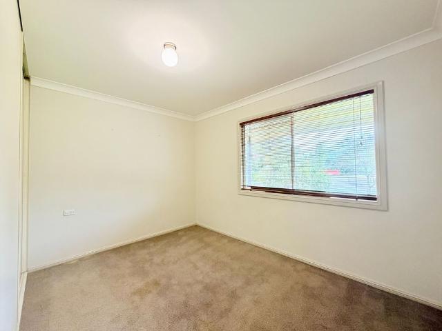 Massive Shed, Endless Possibilities!