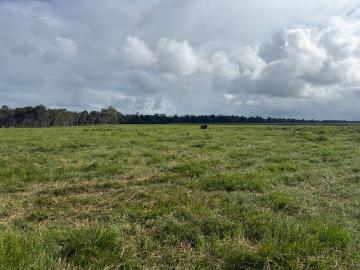 Massive Shed with Residence on 27.37 ha Tully district Cattle Property with Cattle Yards and Water Bore