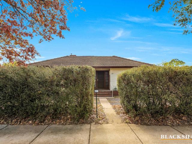 Mature Gardens, Spacious Yard – A Place to Breathe | 6 Month Lease