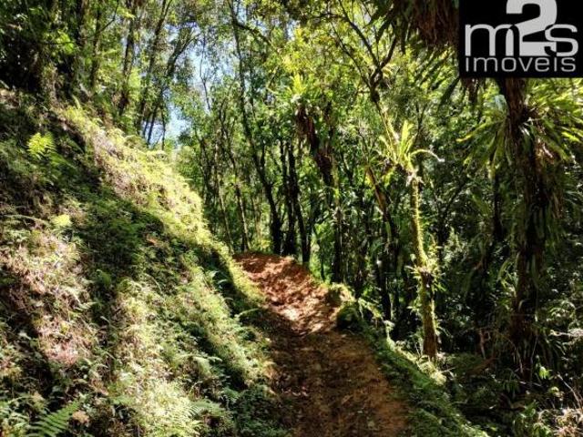 Mata Nativa Preservada, Clima Frio e Muita Água