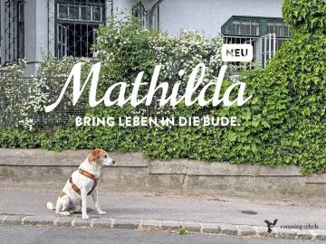 Mathilda das charmante Chaos aus der Gebirgsgasse und ich erzähle euch meine Geschichte