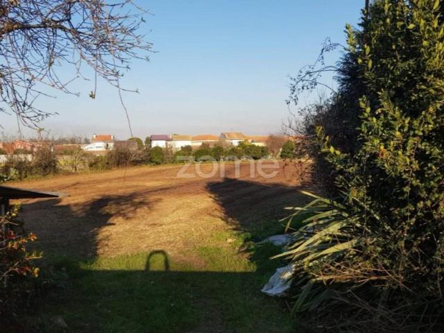 Matosinhos Matosinhos 105780635