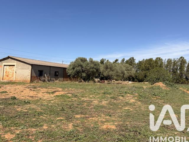 Mauguio Carnon Plage Vente Maison 34