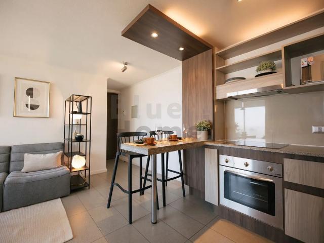 Maule 150 departamento 2d1b, santiago