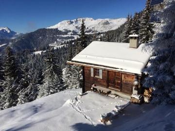 Mayens des Neiges – 2 Schlafzimmer – Mayens de Sarreyer