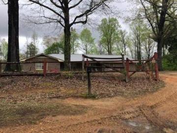 Walker County, Alabama, Alabama, USA