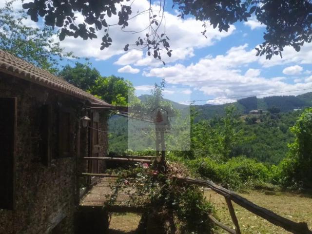 Mazet et terrain