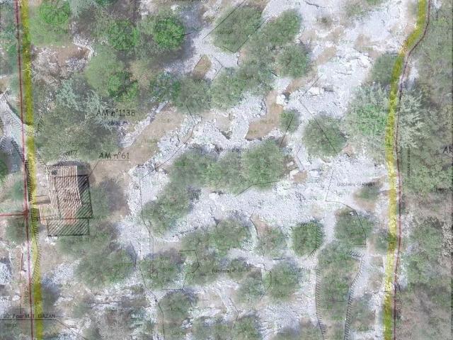 Mazet sur terrain de 2860 m² avec olivette– Bel environnement
