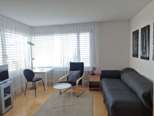 Mblierte 1.5 Zimmer Studio Wohnung
