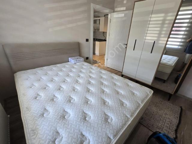 Memur Kiracılı Satılık 1+1 Daire