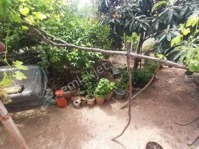 Menteşte Bahçeli Müstakil Tadında Teraslı 2+1 Temiz Kiralıkdaire