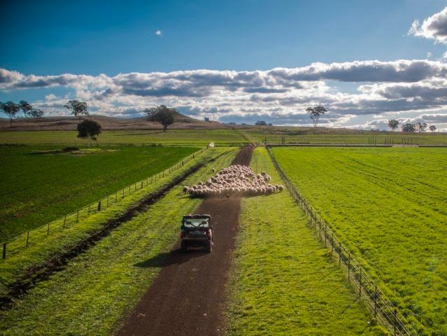 'Mentone' Where productive country meets endless opportunity