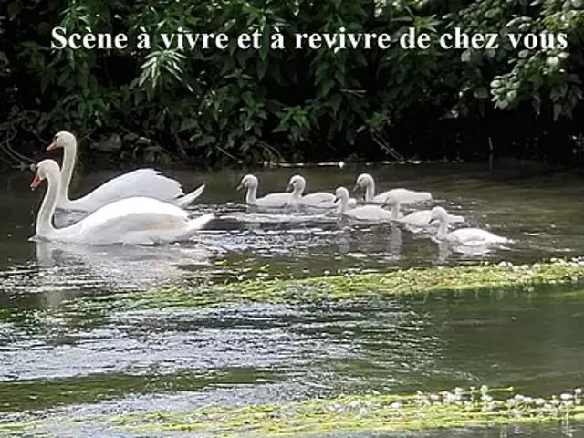 Ménilles 27120 Achat / Vente maison 11 pièces t11 piscine terrasse