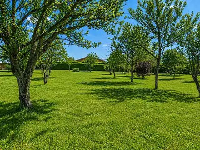 Mensignac 24350 Programme neuf maison neuf à vendre 4 pièces