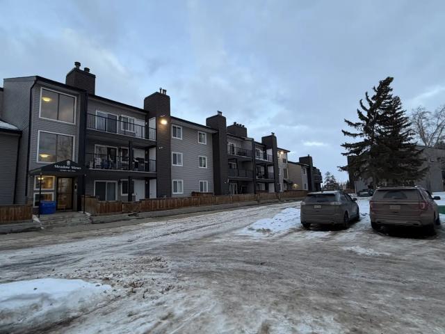 Meadow Mews Apartments