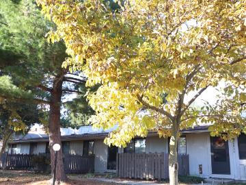 Jackson,  Otter Creek township Ripley County Indiana, Ripley County, Indiana, Indiana, USA