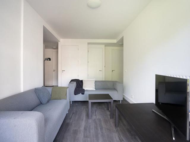 Meander 543