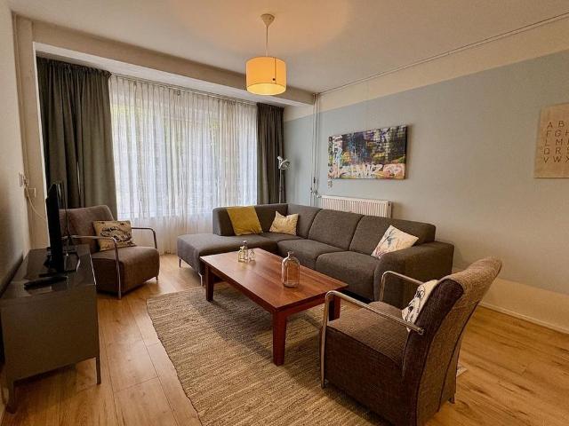 Meander 905