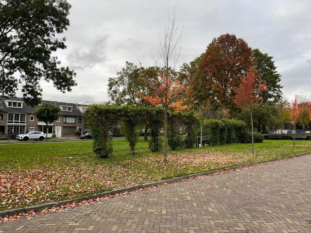 Mechelenstraat 24
