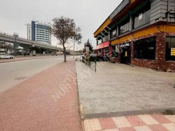 Musalla Bağları Mahallesi, Konya, Konya ili, İç Anadolu Bölgesi