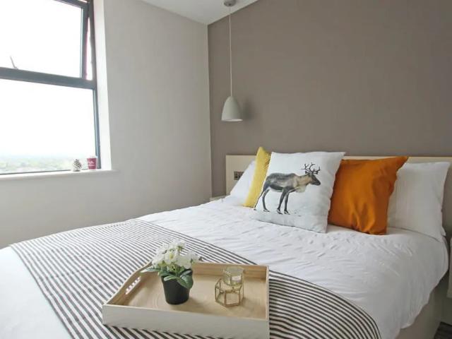 Medium 1 bedroom Apartment