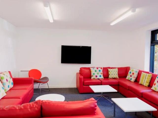 Medium Studio