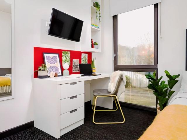 Medium Studio