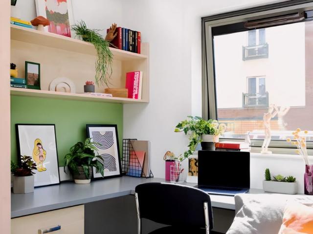 Medium Studio