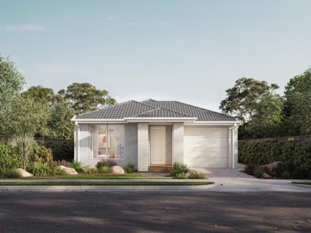 Meet the Phoenix: Clever Living Reimagined
